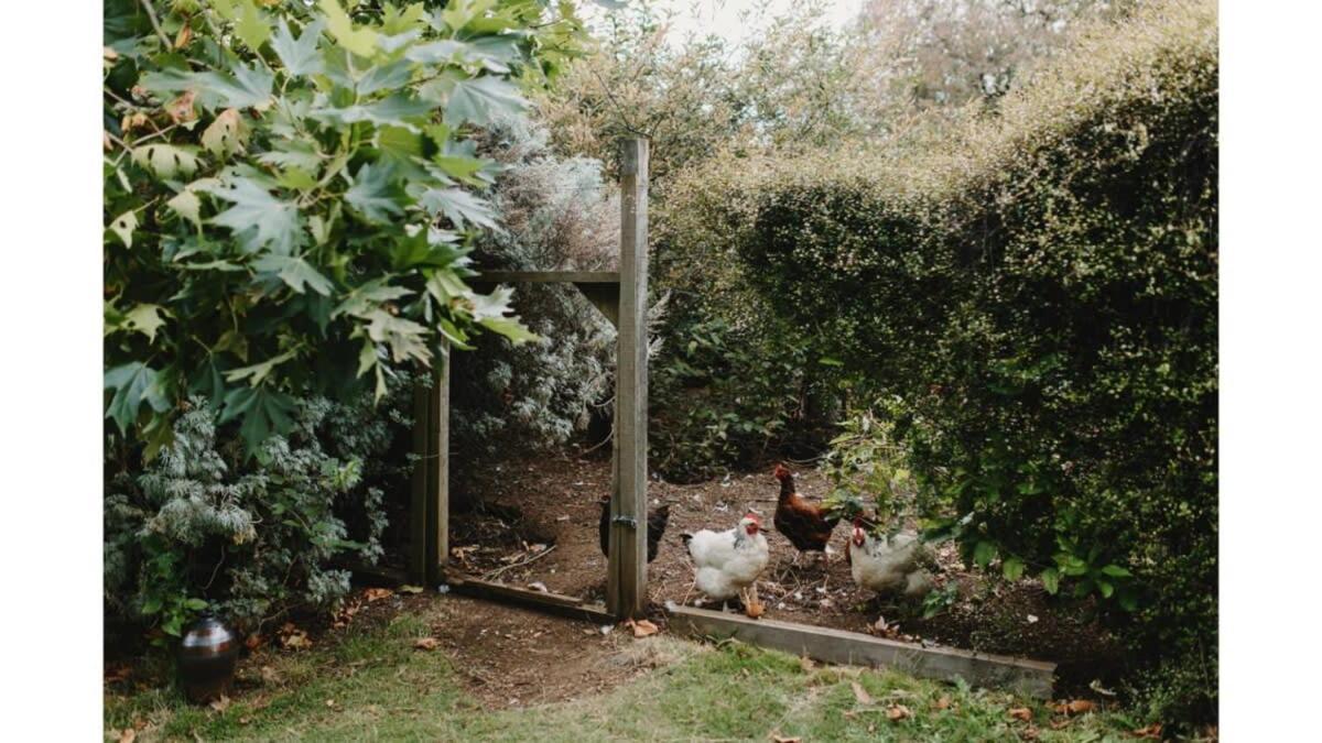 The Perch By Tiny Away Holiday home